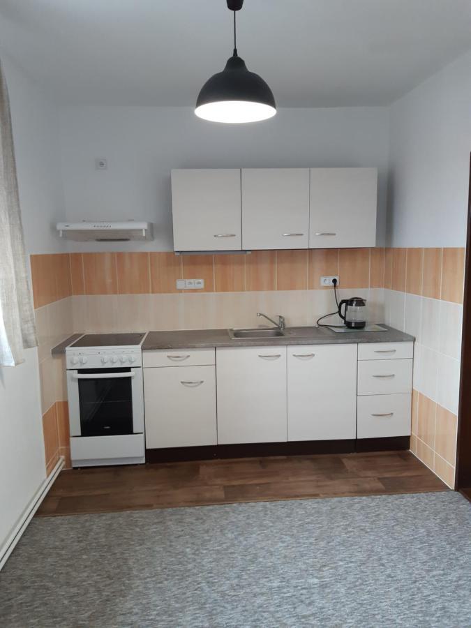 Černá v Pošumaví Apartmán Exterior foto